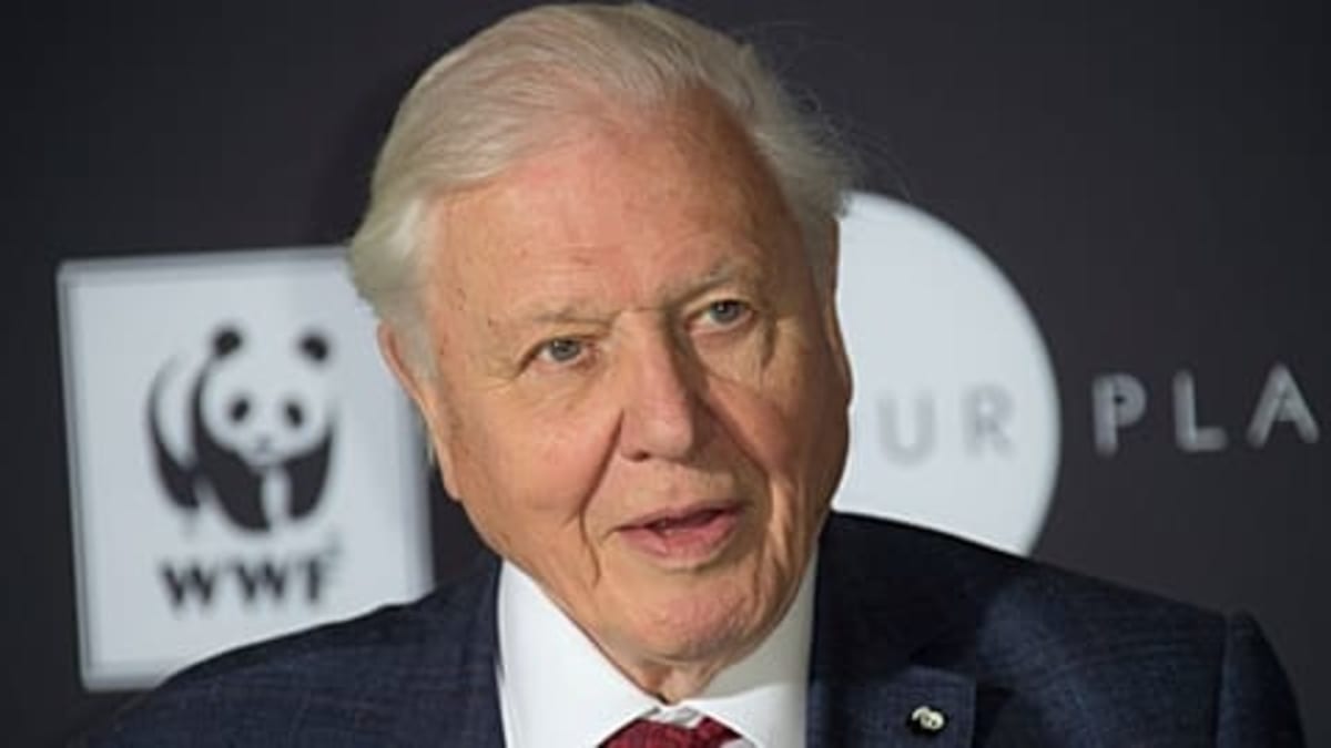 David Attenborough's 100th Birthday Gets Royal Concert - Image 5