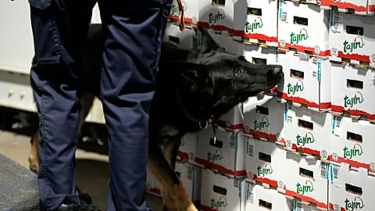 France Destroys 38,000 Fake Shoes After 15-Year Legal Battle - Image 5