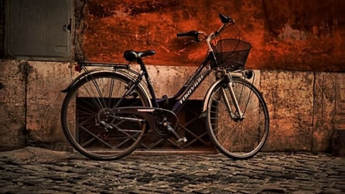 Paris Tourists Swap Buses for Bikes to See the City - Image 4