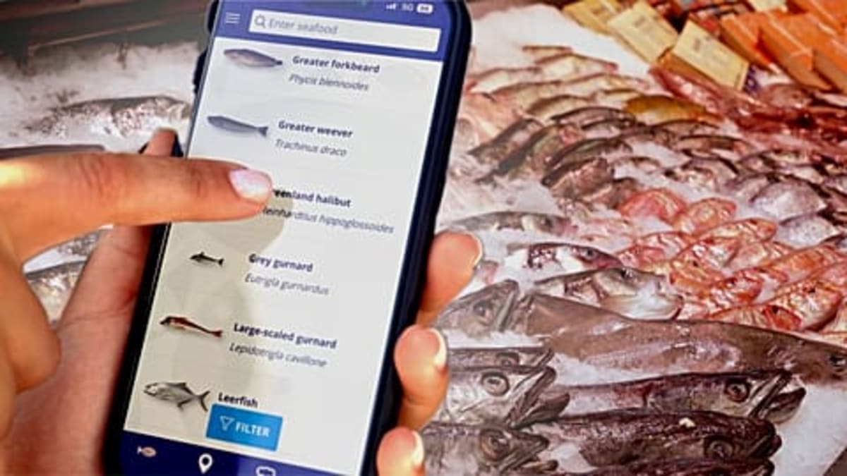 Greece Launches Real-Time Map to Stop Illegal Fishing - Image 3