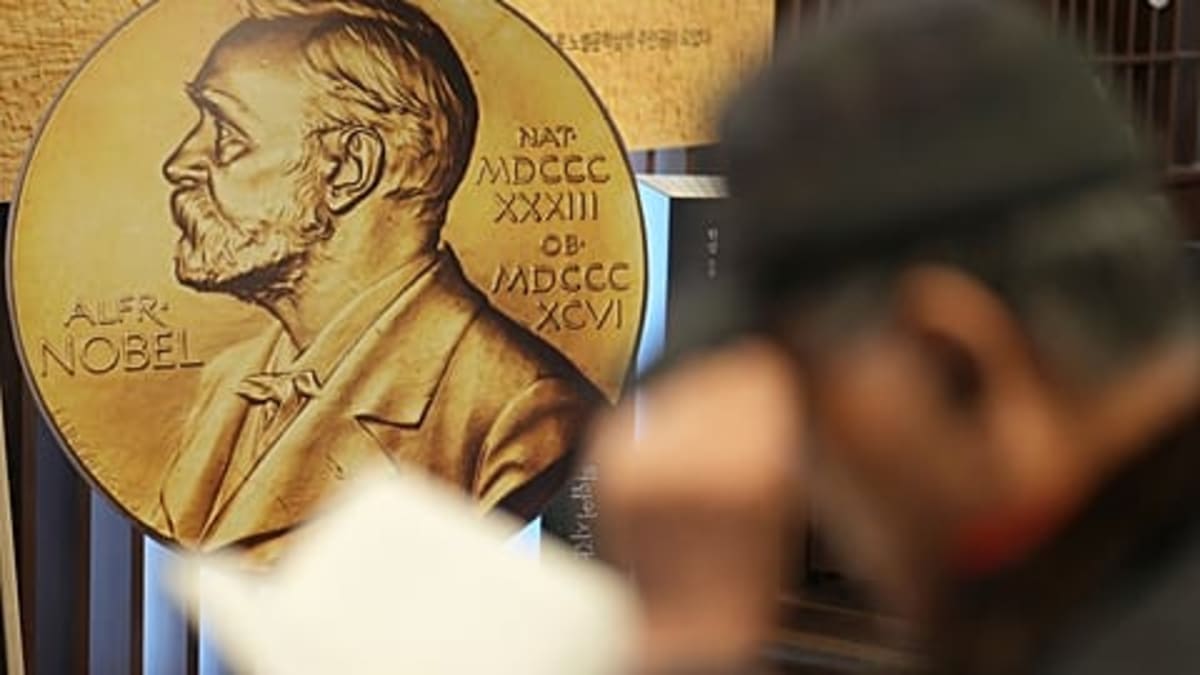 Spanish Scientists Turn Fish Scales Into Working Corneas - Image 3