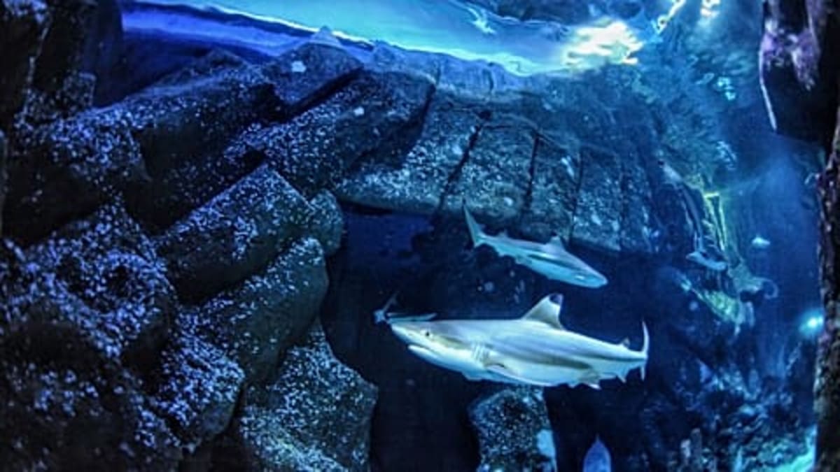 EU Project Turns Fishermen Into Ocean Cleanup Heroes - Image 4