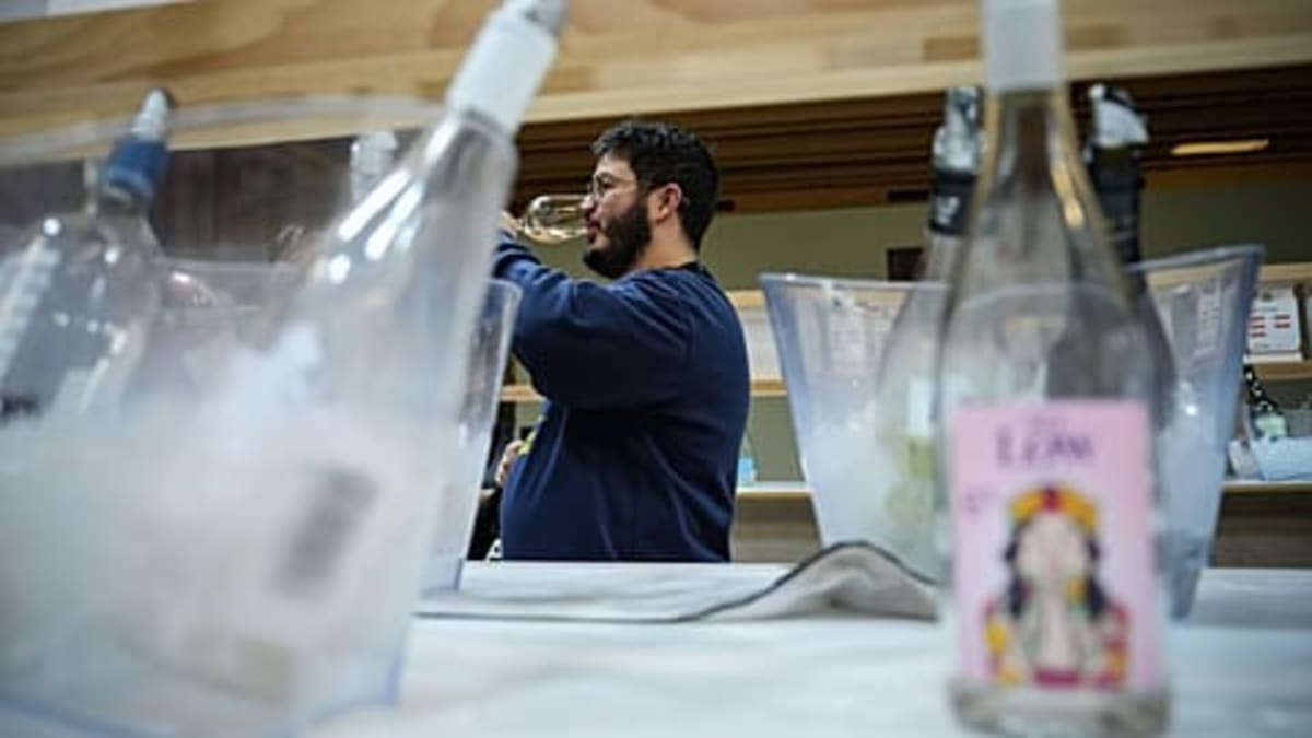 Paris Catacombs Reopen After 5-Month Safety Upgrade - Image 5