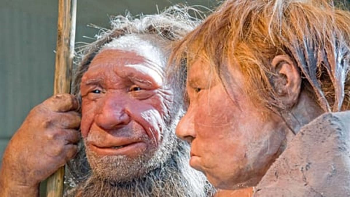 Cave Walls Hold 2,000-Year-Old Human DNA in Spain - Image 3