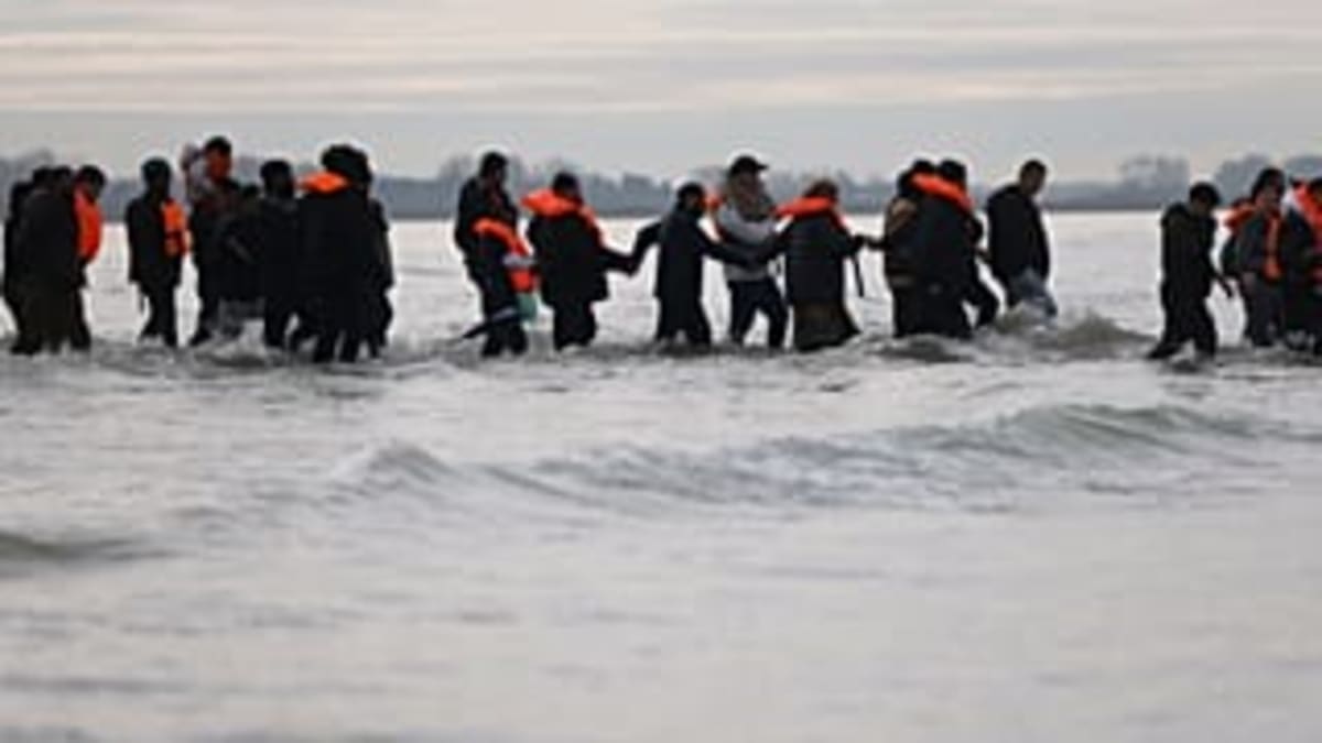 Firefighters Save Exhausted Wolf from Italian Canal - Image 5