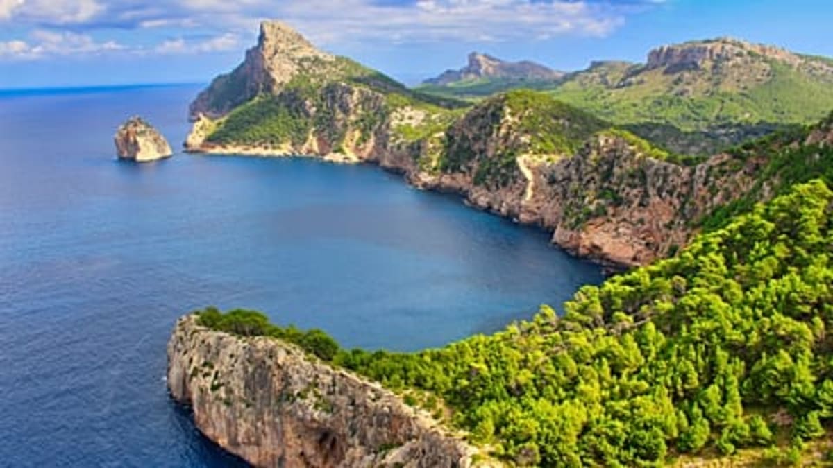 Madeira's Mountain Trail Reopens After Wildfire Recovery - Image 3