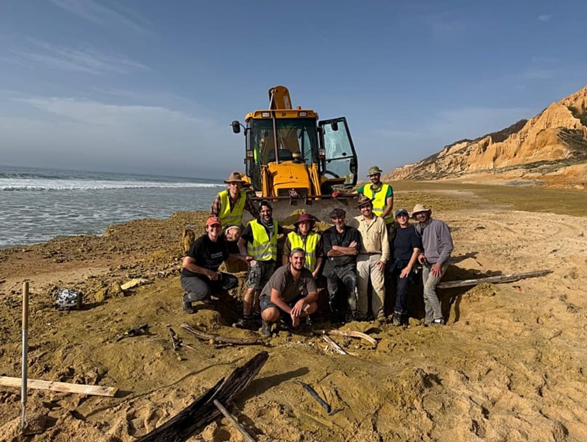 Portugal Storm Unearths 10-Million-Year-Old Whale Fossils - Image 5