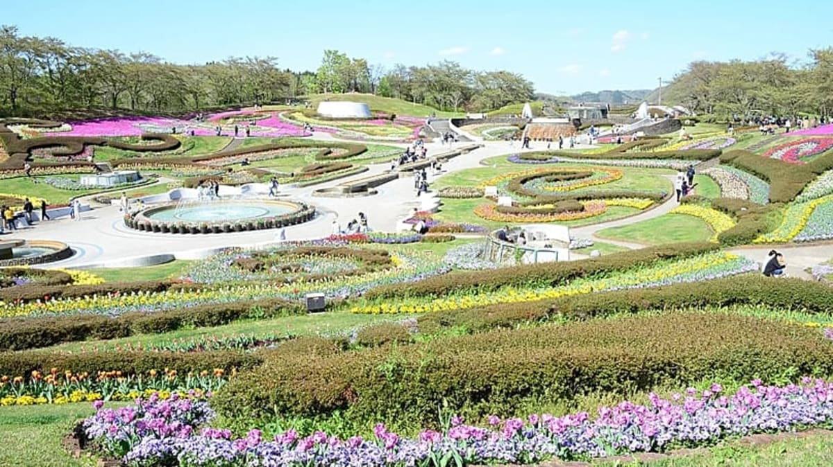 Japan Tourism Hits Record 42.7M Visitors in 2025 - Image 3