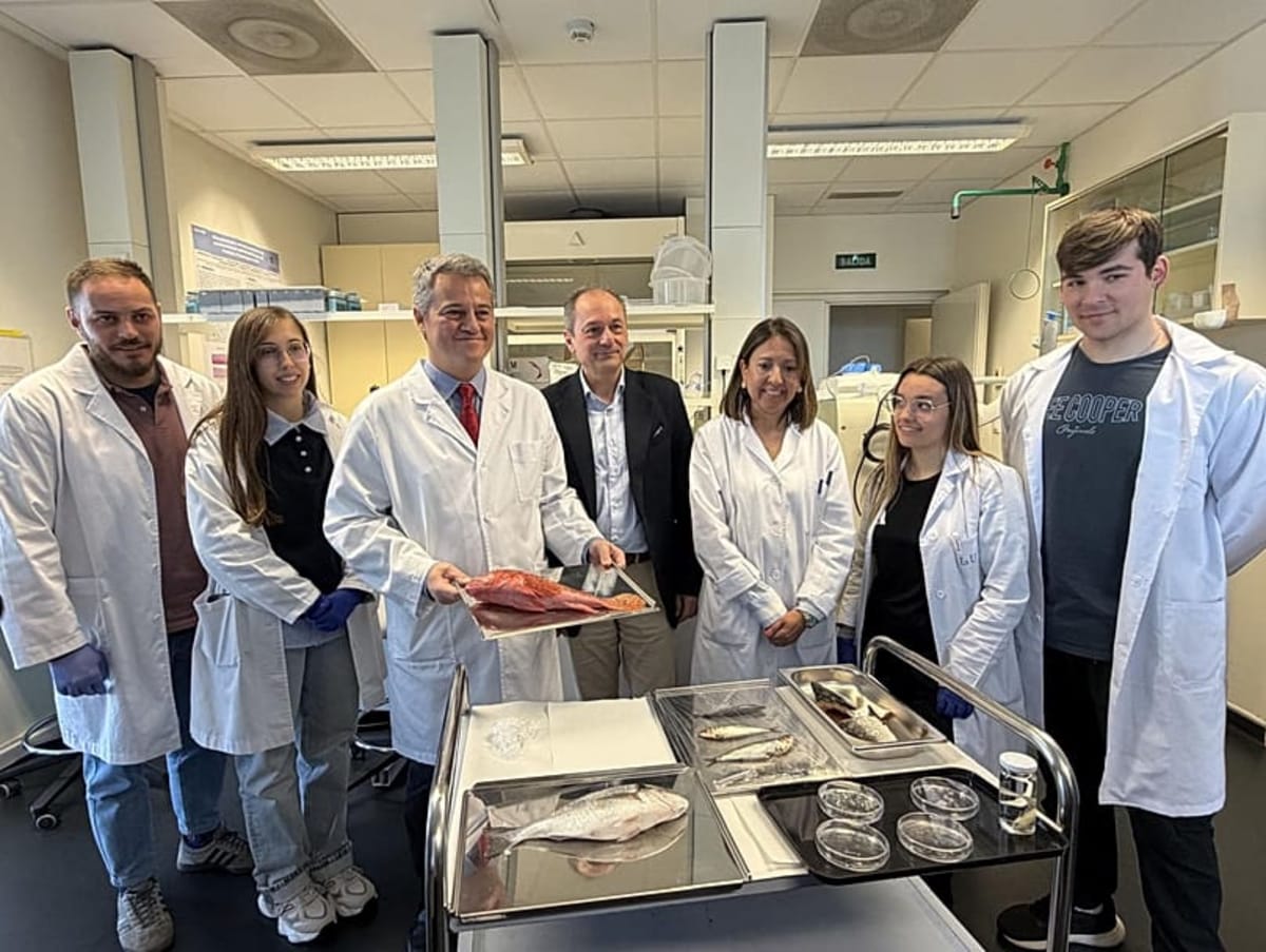 Spanish Scientists Turn Fish Scales Into Working Corneas - Image 2