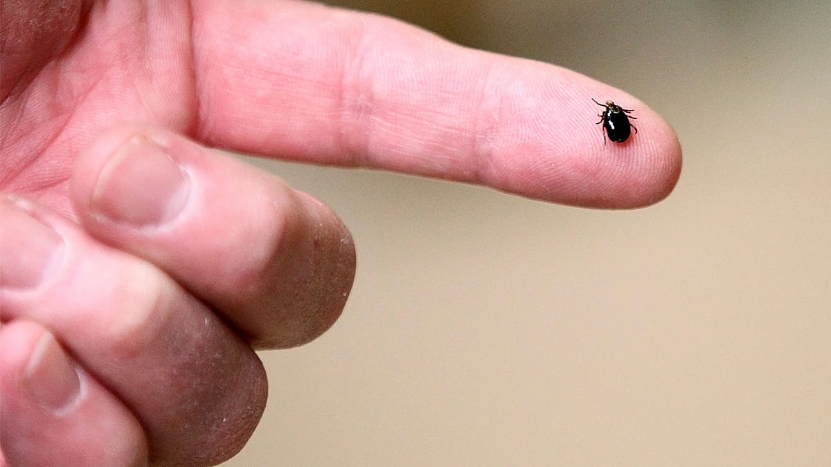 Medical researcher holding vaccine vial in laboratory with microscope and testing equipment nearby