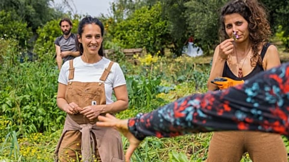 Solar Saves Europe €3B in March as Gas Prices Soar - Image 3