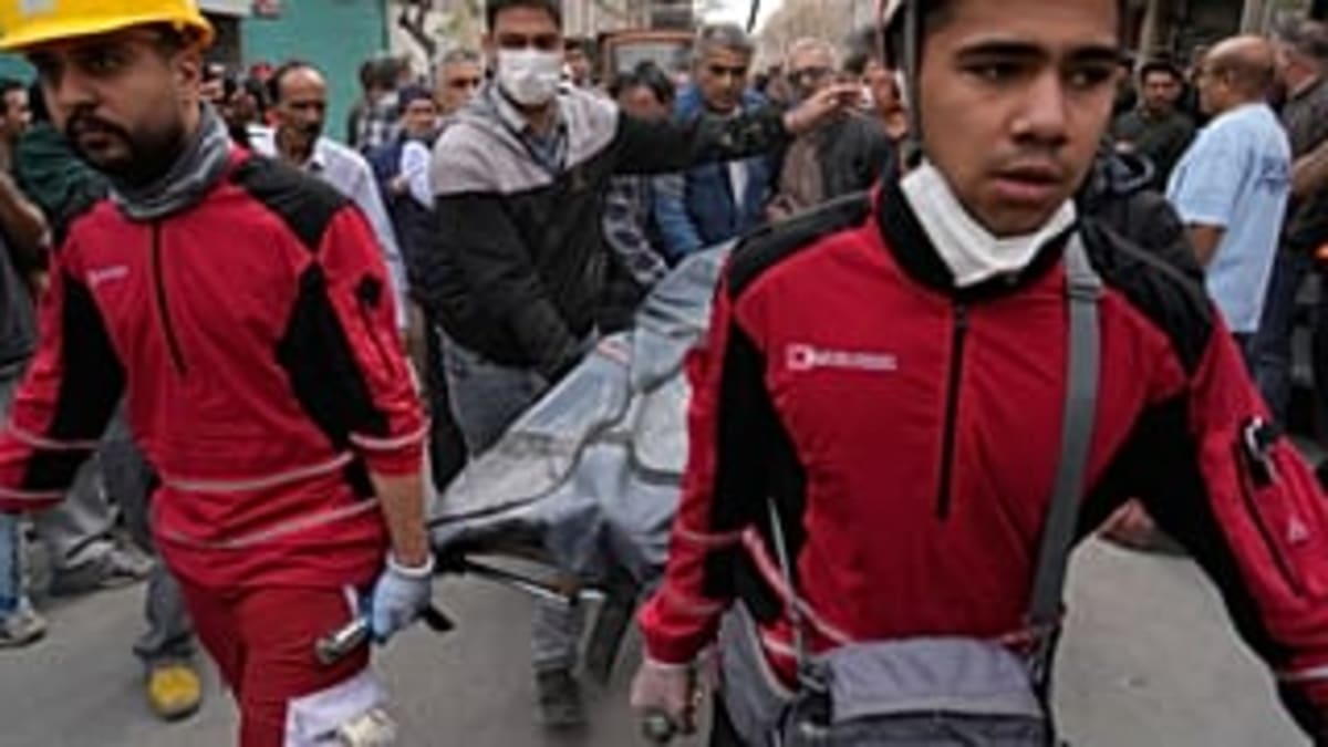 French Zoo Celebrates First Golden Monkey Born Outside Asia - Image 5