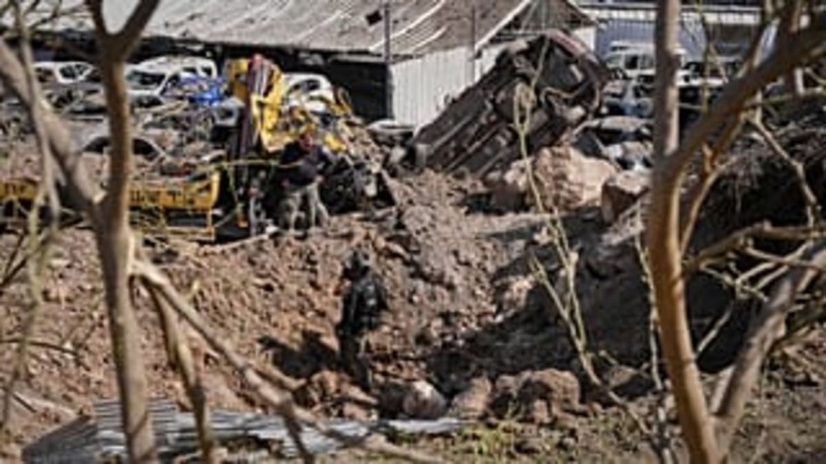 Japan's Office Chair Grand Prix Draws Crowds for Rice Prize - Image 5