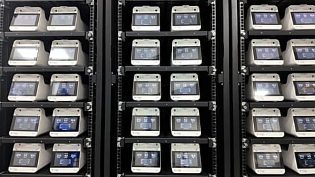 Lab-Grown Brain Cells Now Power a Data Center in Melbourne - Image 4