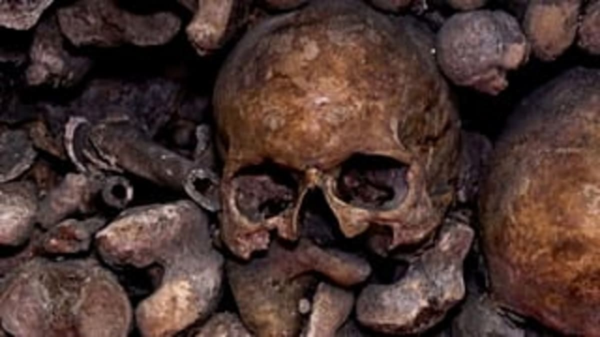 Paris Catacombs Reopen After Safety Upgrades - Image 3