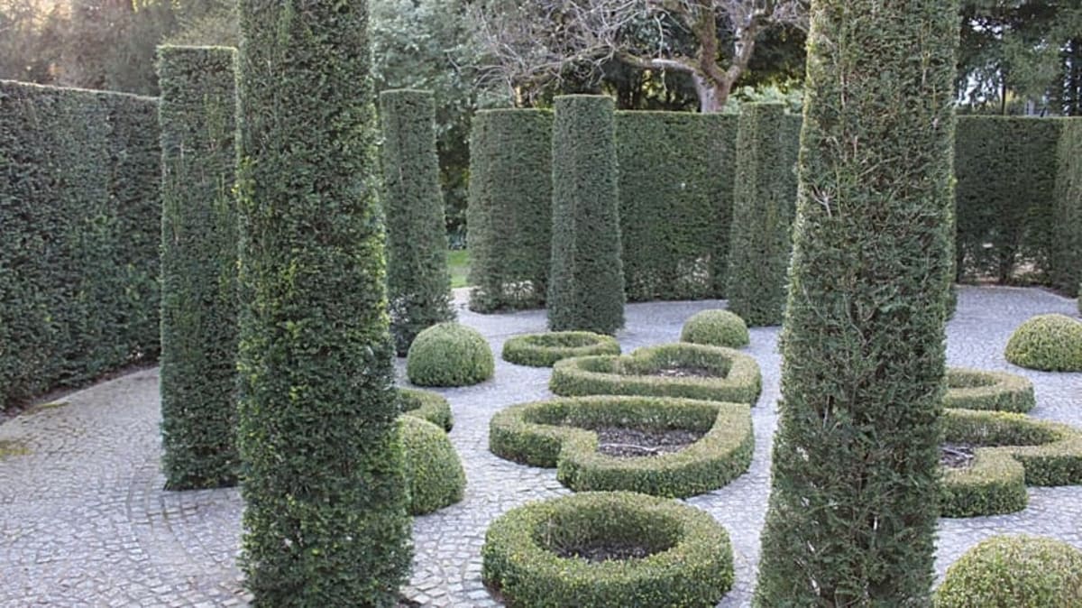 Brussels Opens 60 Historic Buildings to 19,000 Eager Visitors - Image 3