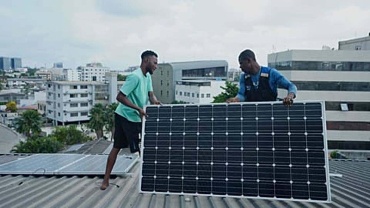 Wind Turbines Safer for Birds Than Critics Claim, AI Shows - Image 4