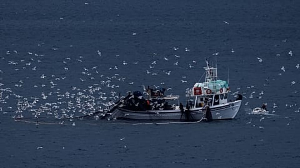Greece Launches Real-Time Map to Stop Illegal Fishing - Image 5