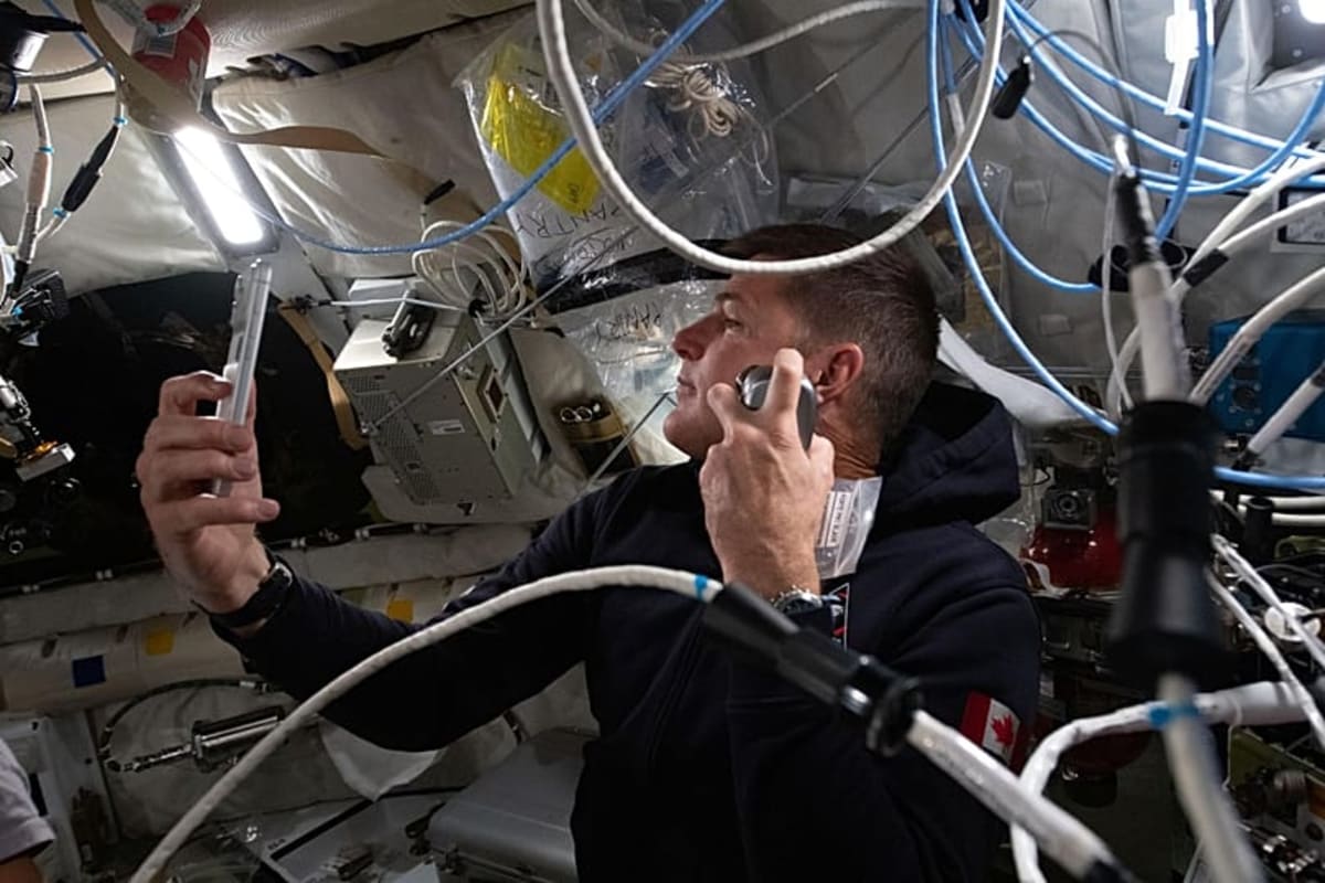 Astronauts' Brains Remember Gravity After Months in Space - Image 2