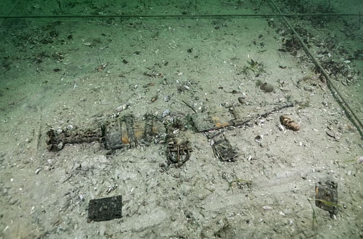 Divers Find 1,000 Roman Artifacts in Swiss Lake - Image 5