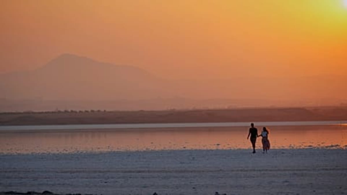 Wind Turbines Safer for Birds Than Critics Claim, AI Shows - Image 2