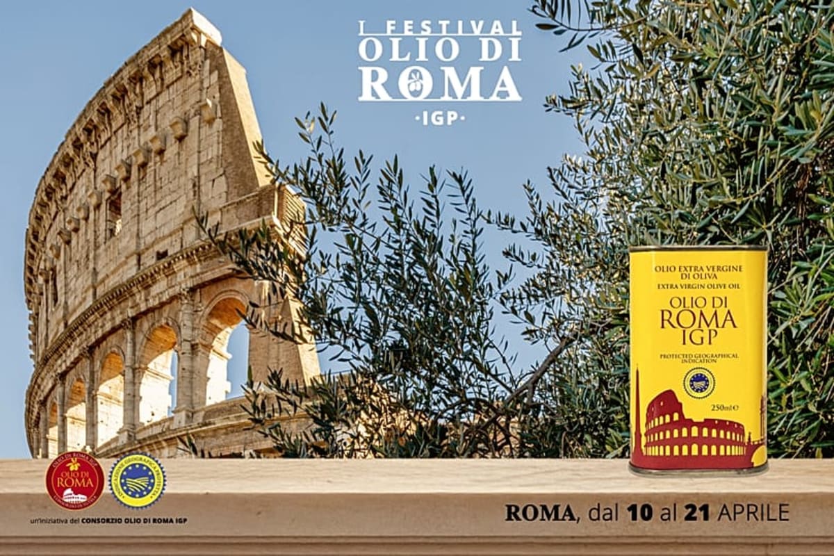 Rome Harvests Olives at the Colosseum for New Oil Brand - Image 3