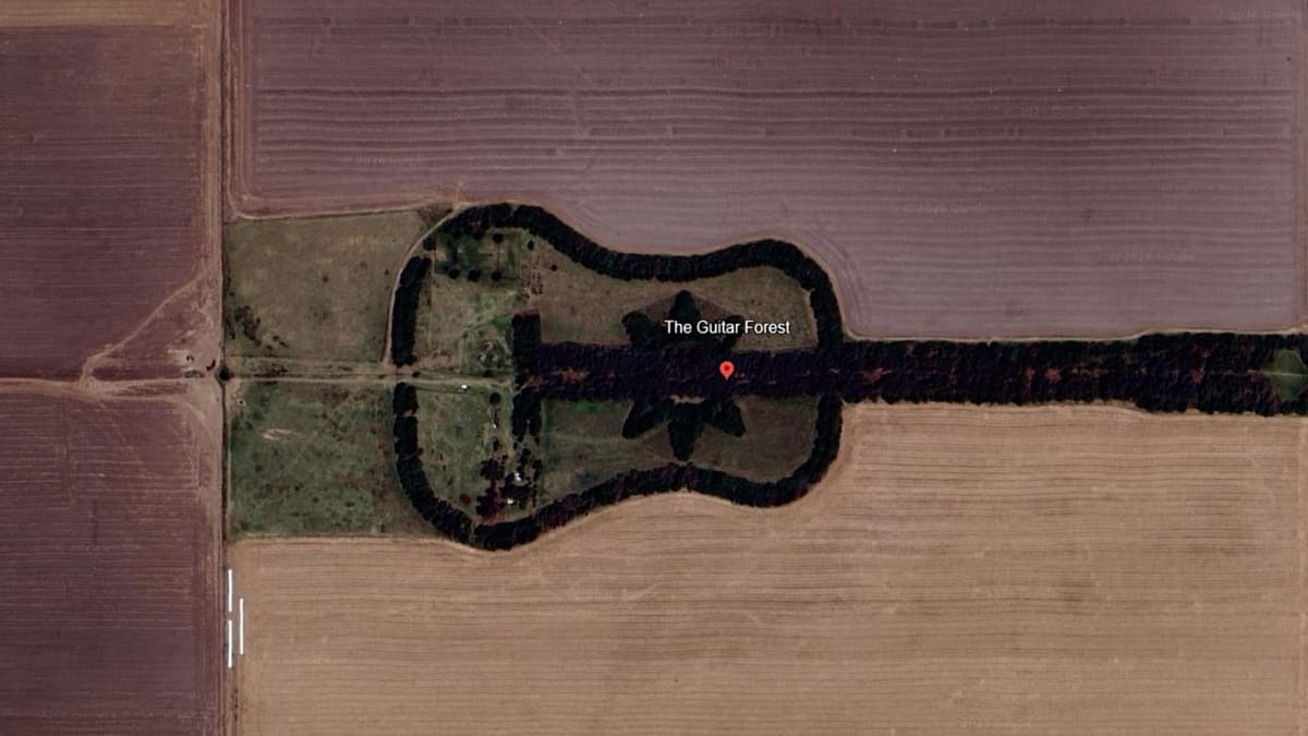 Man Plants 7,000 Trees in Guitar Shape to Honor Late Wife - Image 2