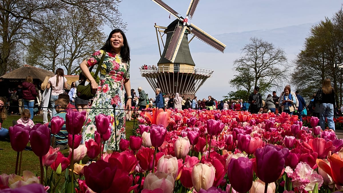 7 Million Flowers Bloom at Netherlands' Keukenhof Garden
