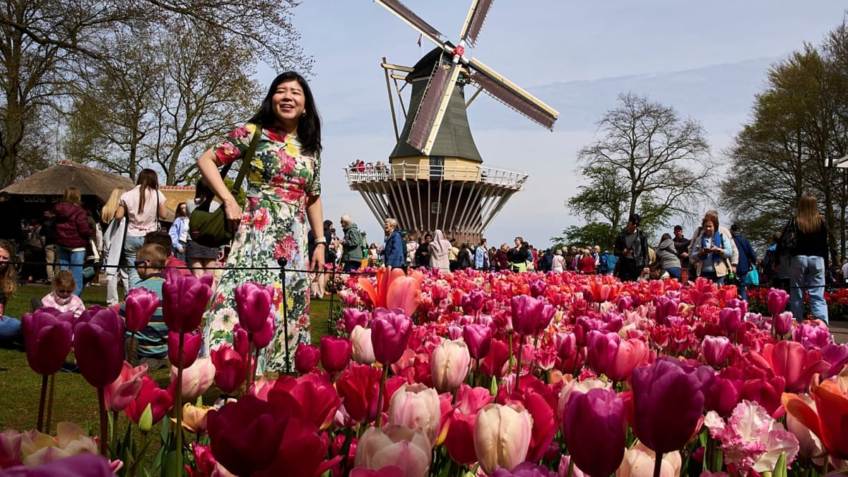 7 Million Flowers Bloom at Netherlands' Keukenhof Garden - Image 2