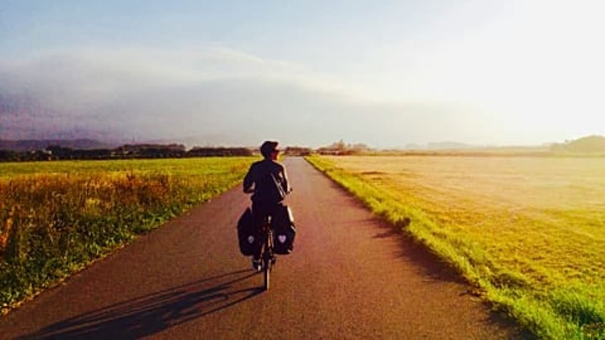 Paris Tourists Swap Buses for Bikes to See the City - Image 3