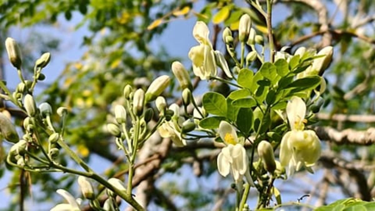 5 EU Nations Cut Energy Bills 58% With Clean Power - Image 4