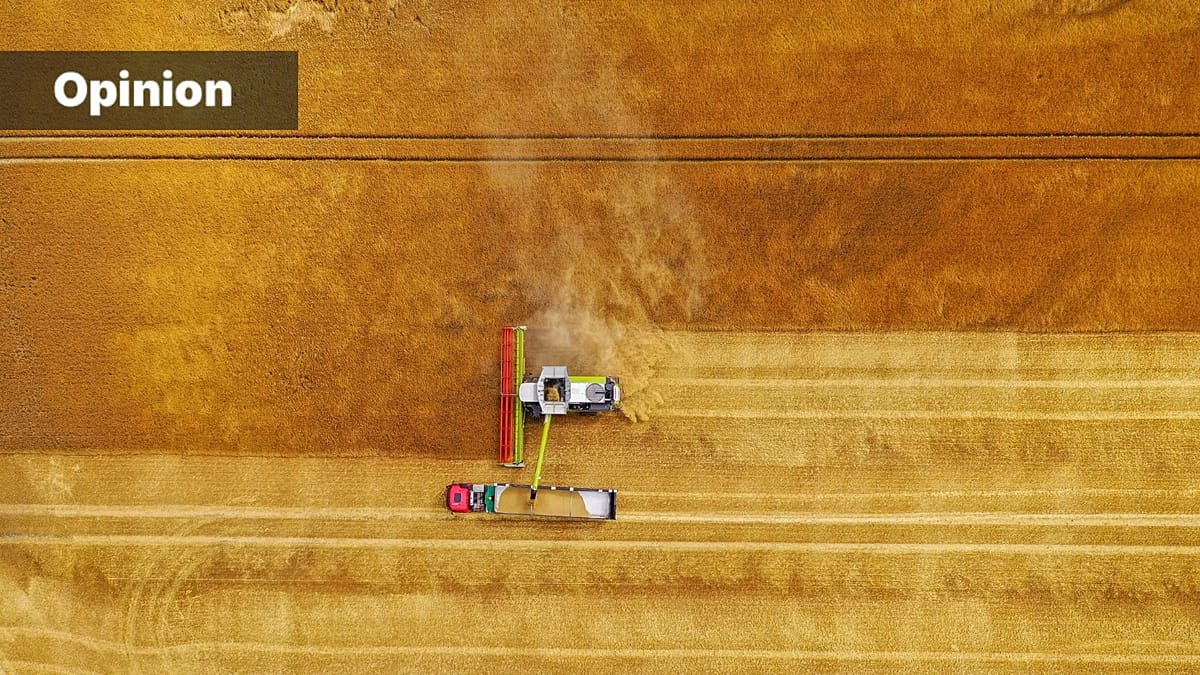 Europe's Clean Fertilizer Tech Could Transform Food Security