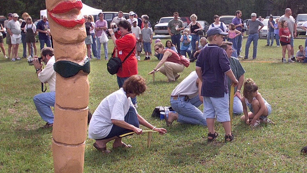 Festival participants crouched on grass attempting to charm earthworms from ground in Blackawton England
