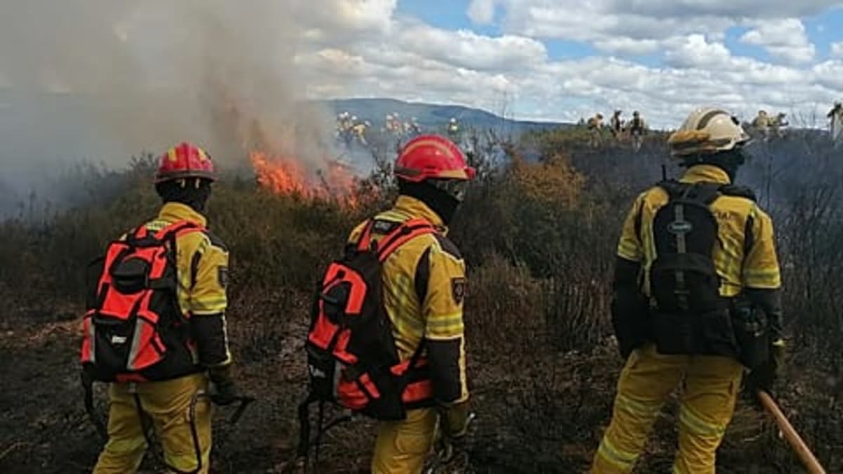 Portugal Mobilizes 15,000 Firefighters After Deadly 2025 - Image 2