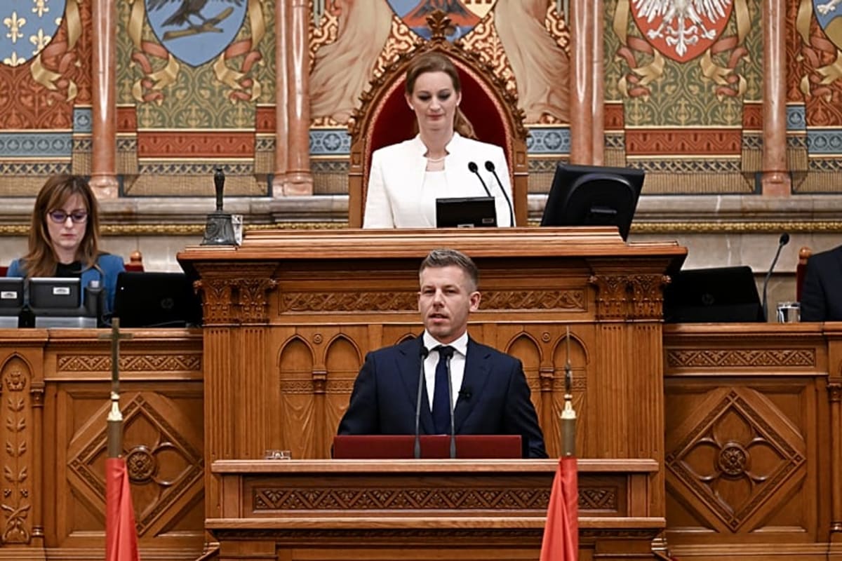 Hungary Elects New PM After 16 Years, Ends Orbán Era - Image 2