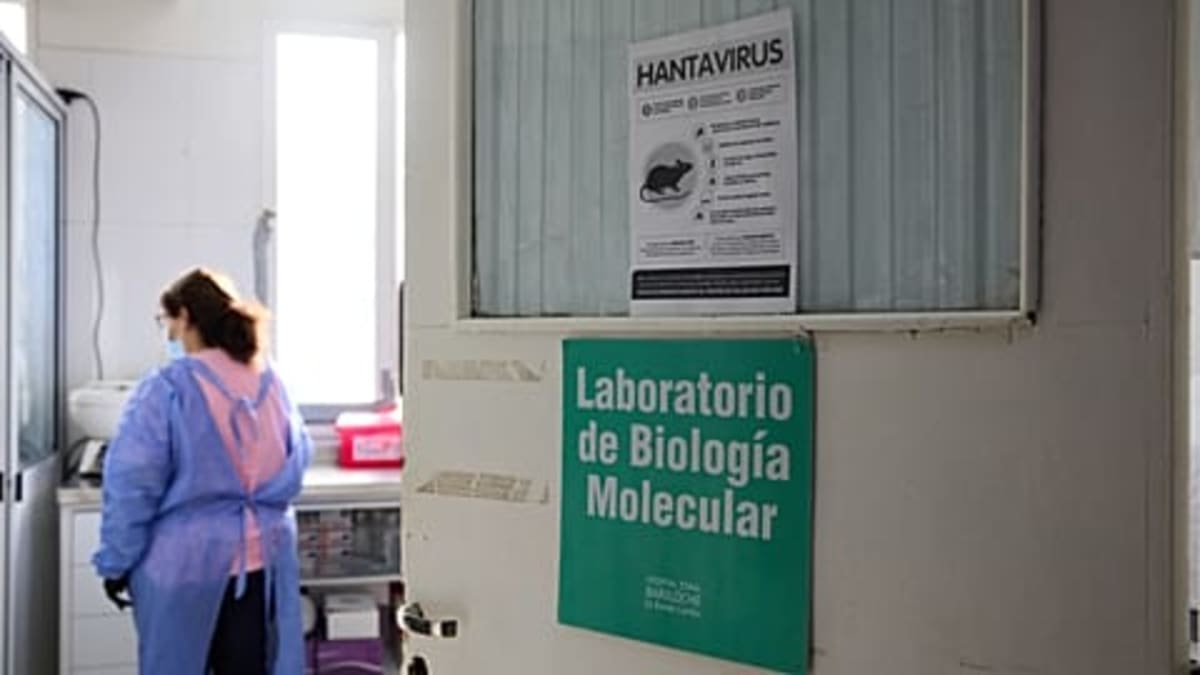 EU Unites for Faster Health Response After Cruise Outbreak - Image 2