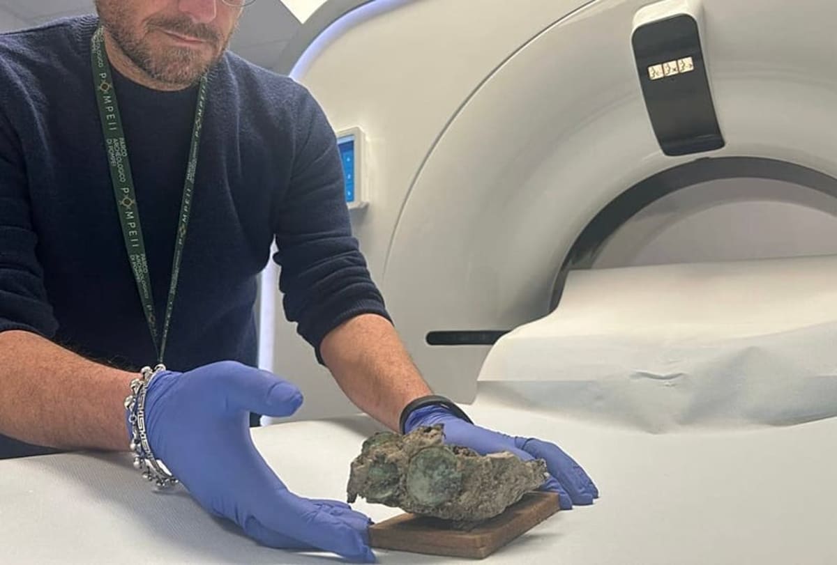 Pompeii Doctor ID'd 2,000 Years Later by Medical Tools - Image 3