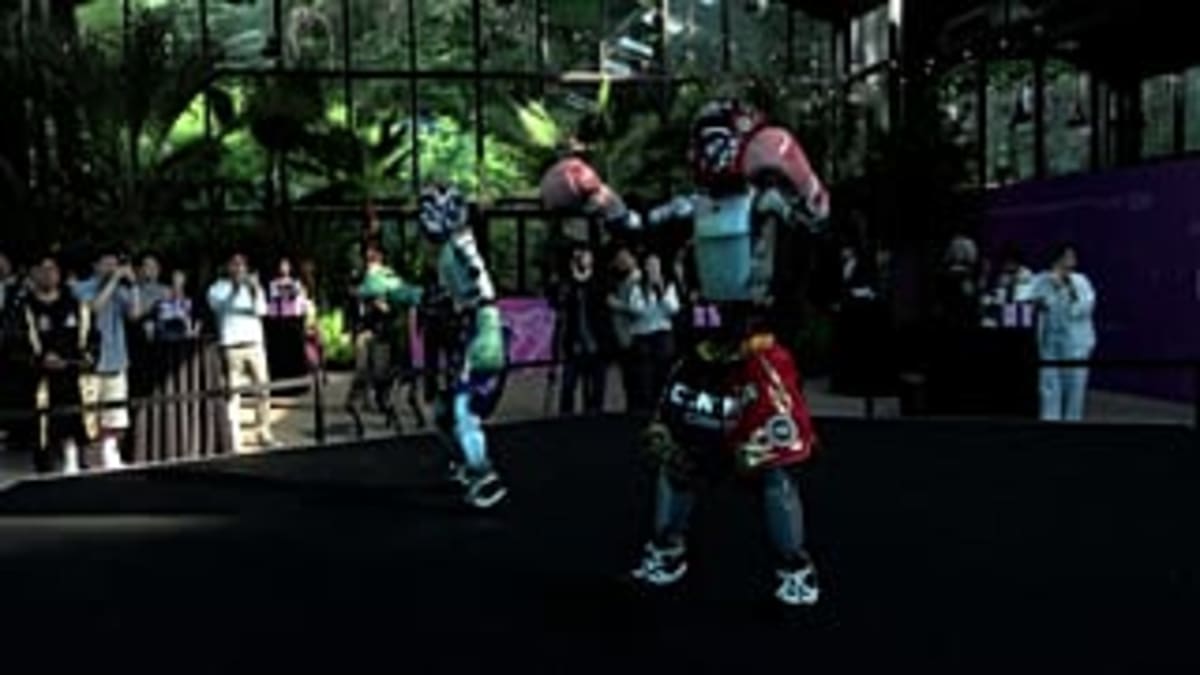 Seoul Opens Robot Theme Park With K-Pop and AI Shows - Image 3