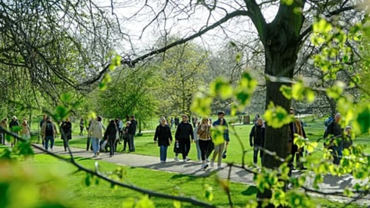 Lisbon Named World's Best City for Expats in 2026 - Image 4