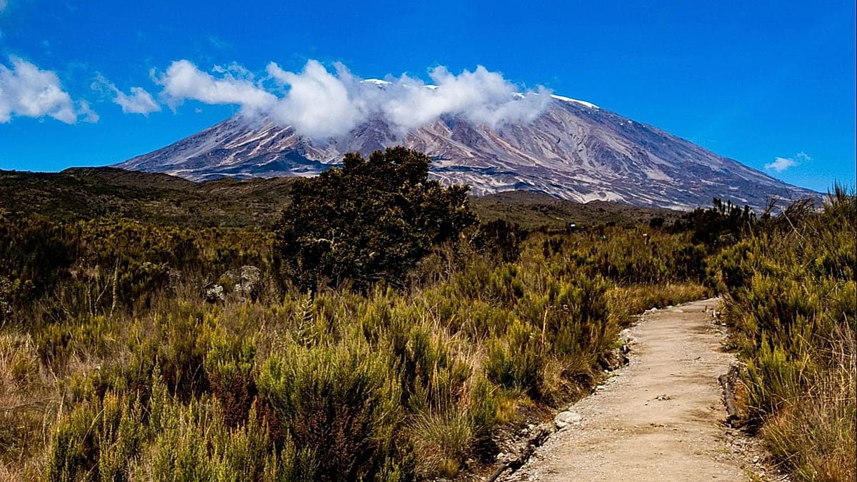 3 New Routes Make Kilimanjaro Easier to Reach From Europe