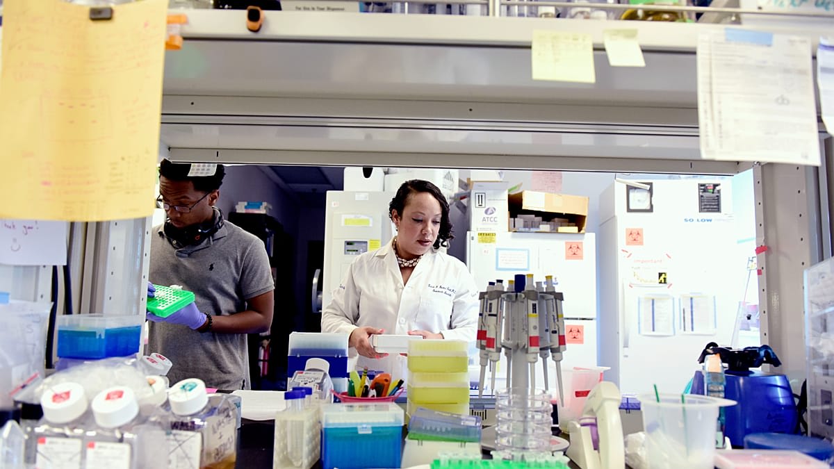 Texas Wastewater Tracking Finds All Major Cancer Viruses