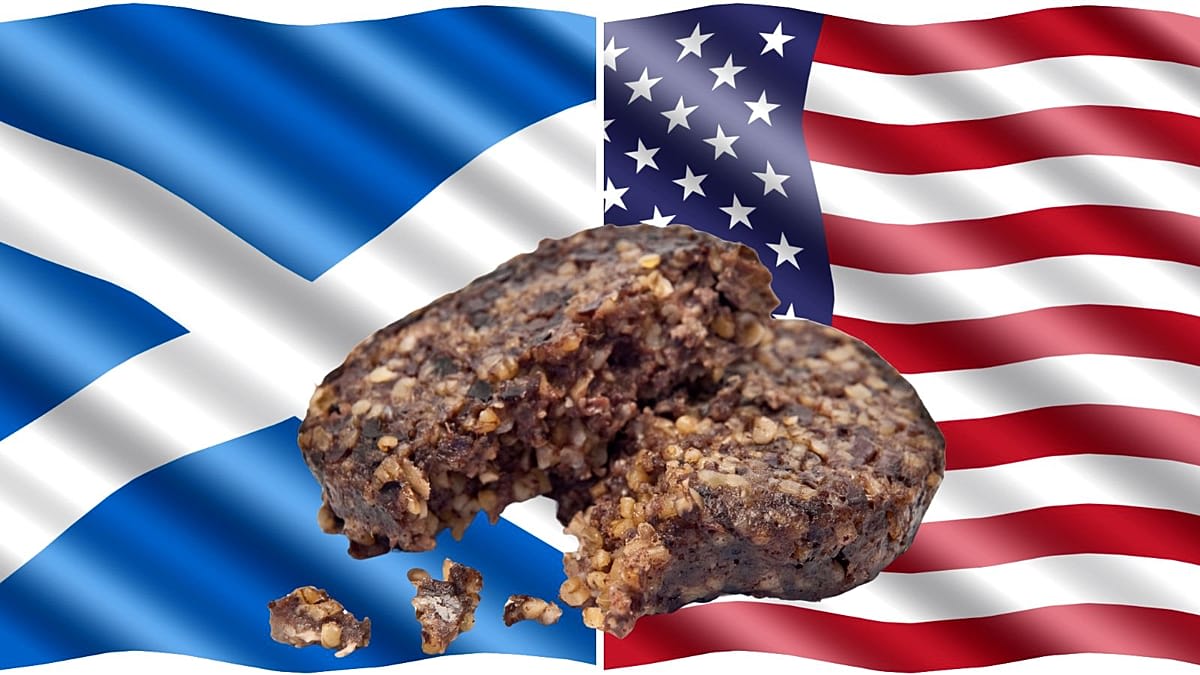 Traditional Scottish haggis served on a plate with Scottish flag in background