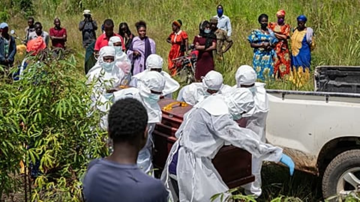 EU and UNICEF Send 100 Tons of Aid to DR Congo - Image 4