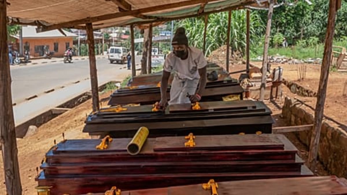EU and UNICEF Send 100 Tons of Aid to DR Congo - Image 2