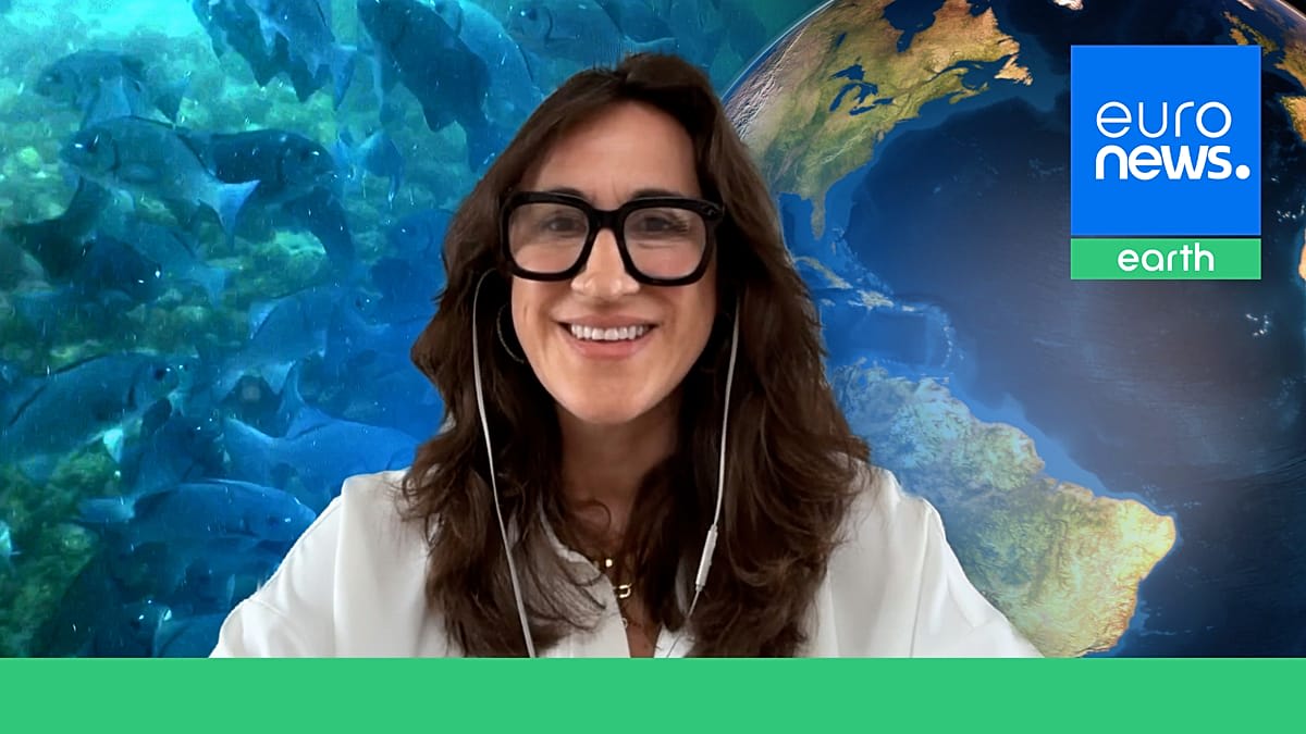 Historic High Seas Treaty Now Protects Half the Planet