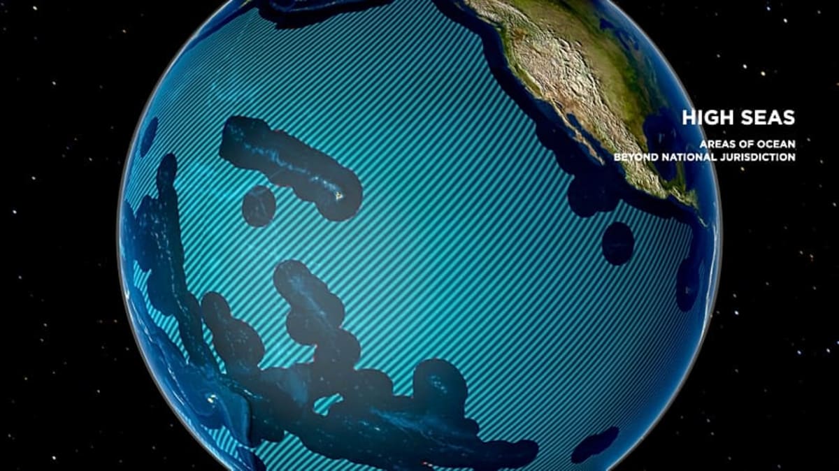 Historic High Seas Treaty Now Protects Half the Planet - Image 2