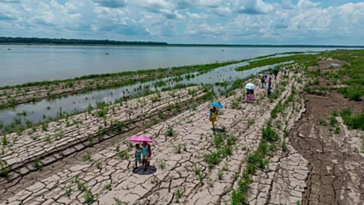 50 Cities Unite to Beat Extreme Heat With Shared Solutions - Image 5