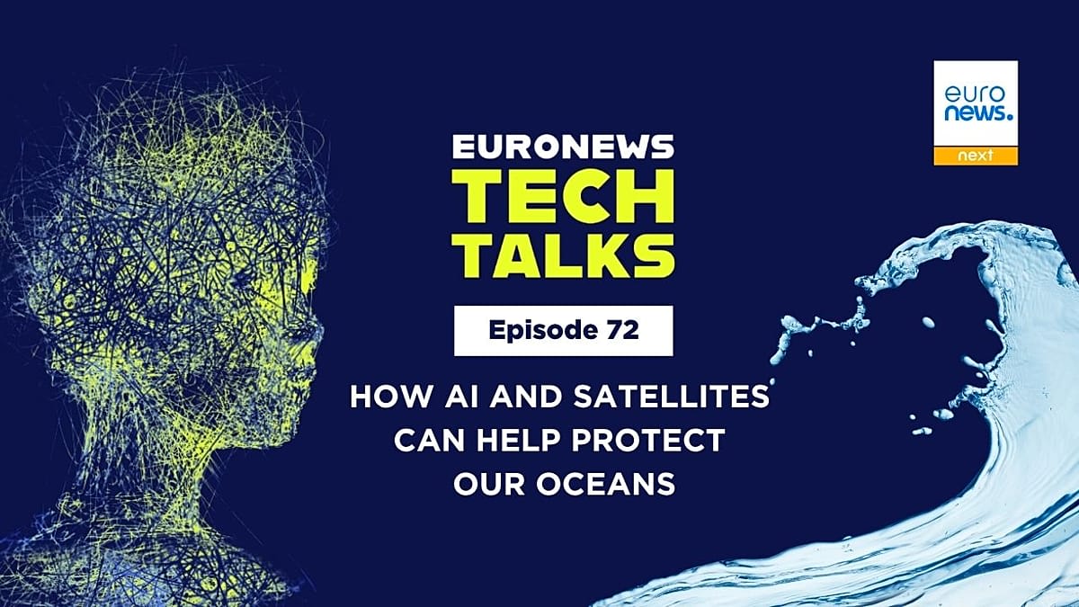 Europe's Digital Twin Ocean Maps Real-Time Marine Health