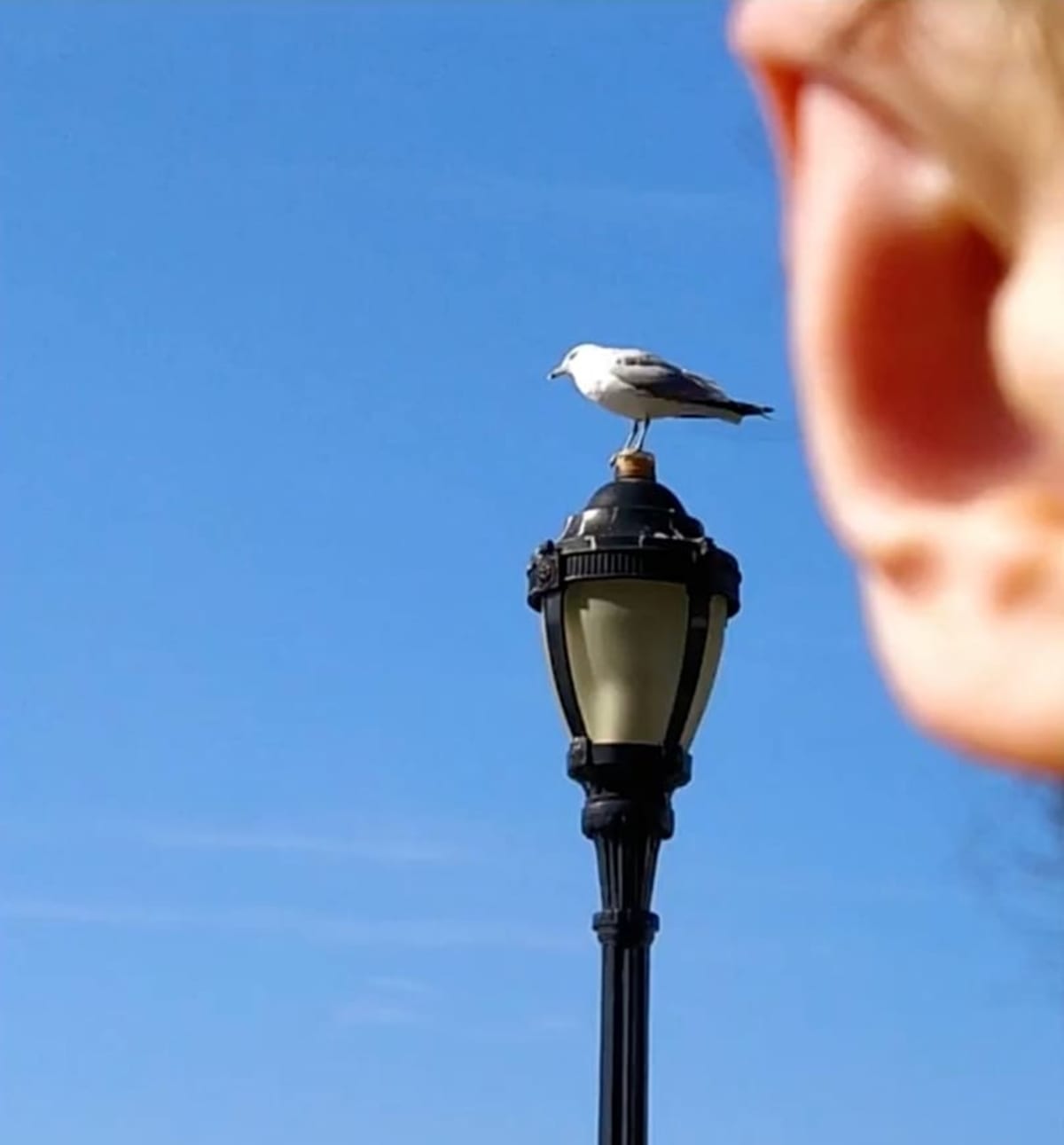 Paris Woman Wins $50K for Being World's Worst Photographer - Image 5