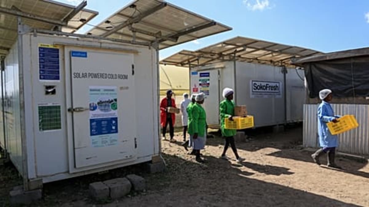 Ancient Pompeii Disguises Solar Panels as Roman Tiles - Image 2